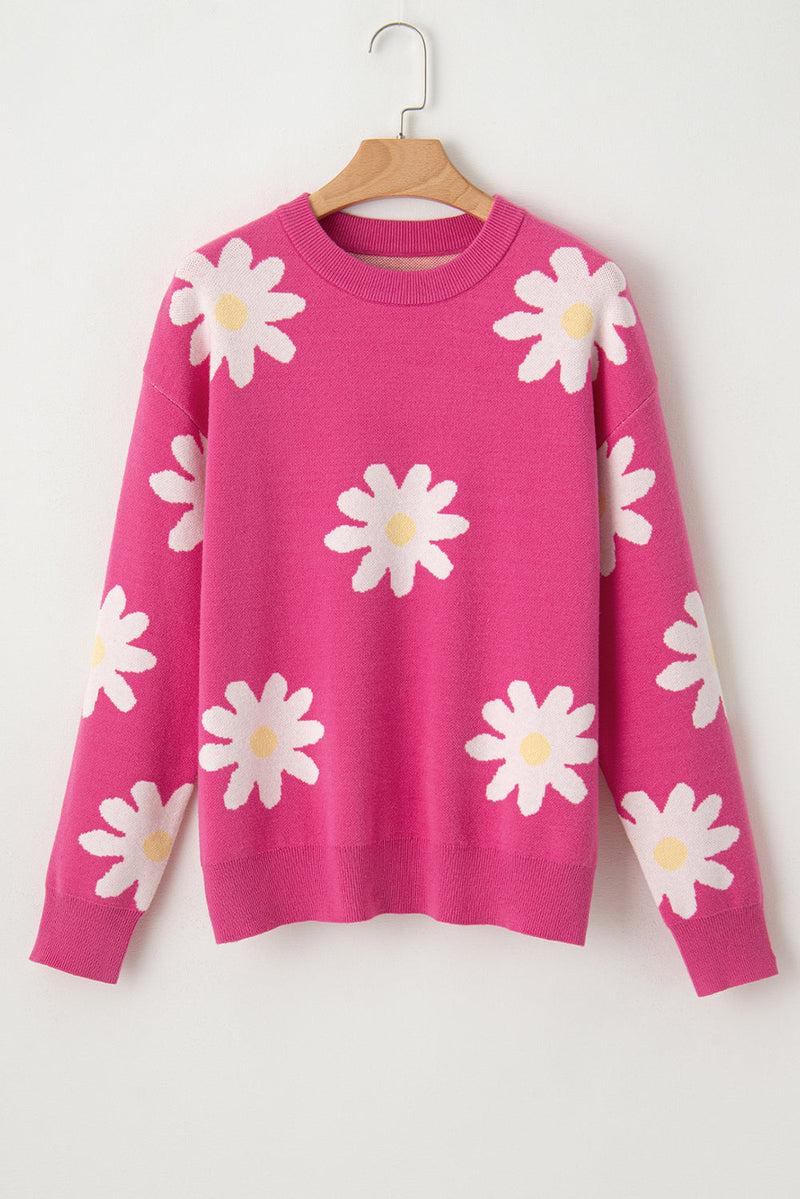 Pull au design gracieux