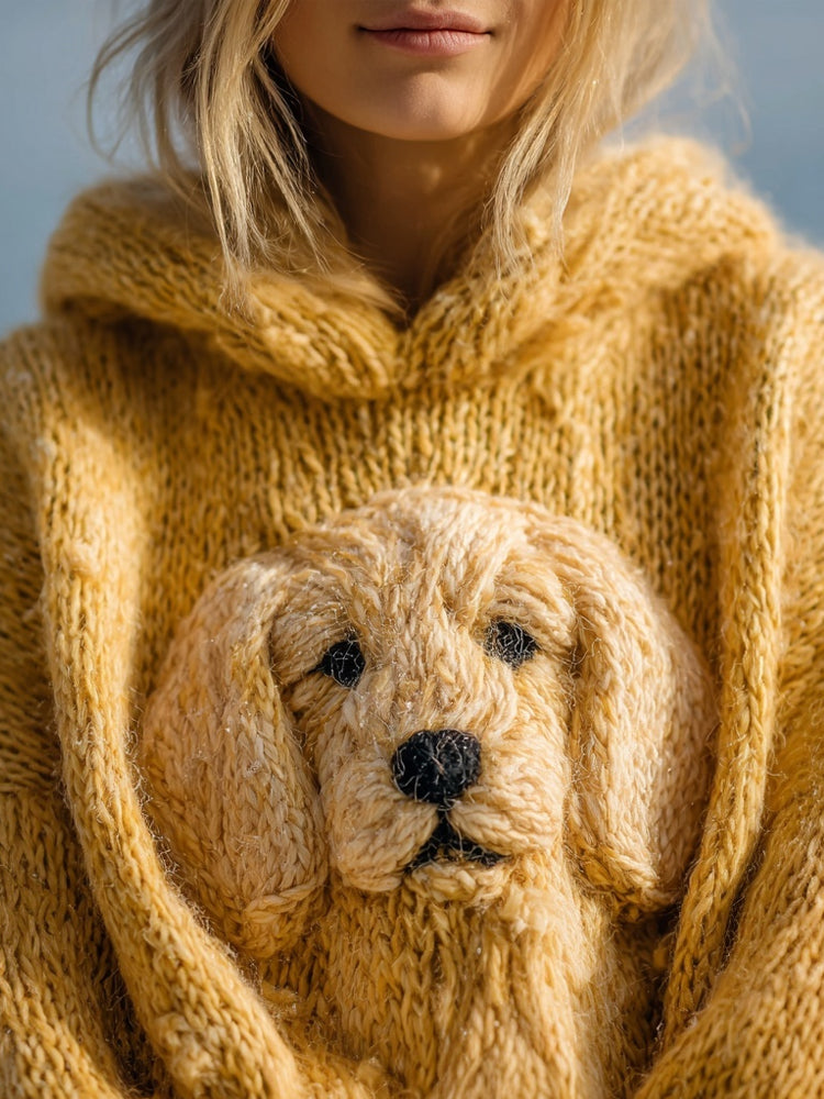Pull au design classique