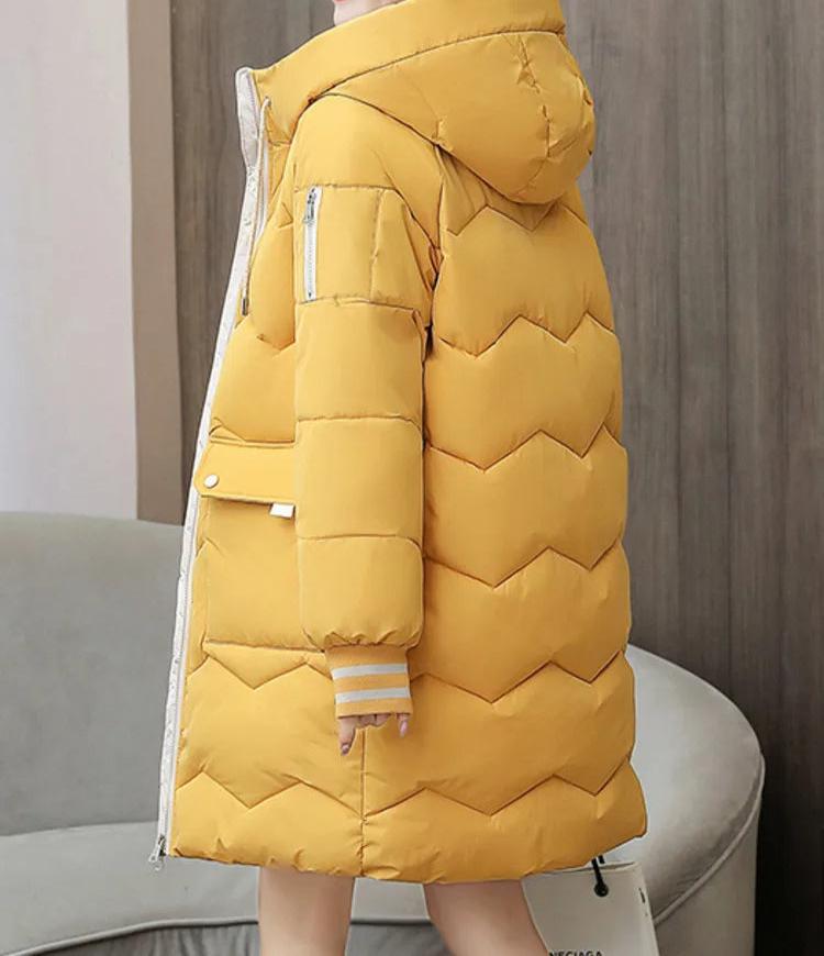 Veste magnifiquement confectionné