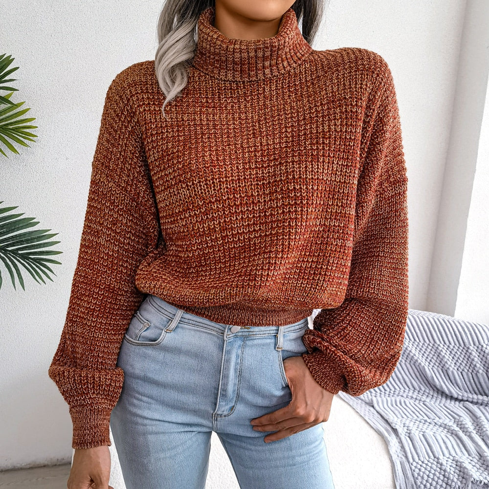 Pull au design gracieux
