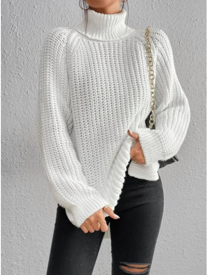 Pull au design gracieux