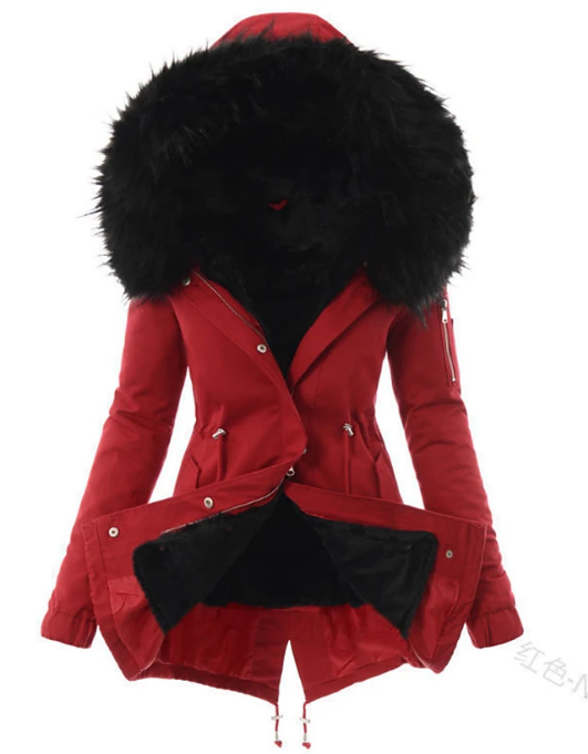Veste au design classique