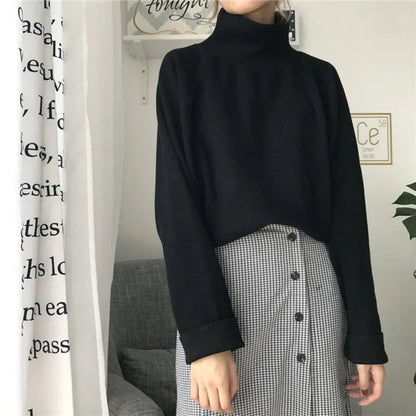 Pull au design classique