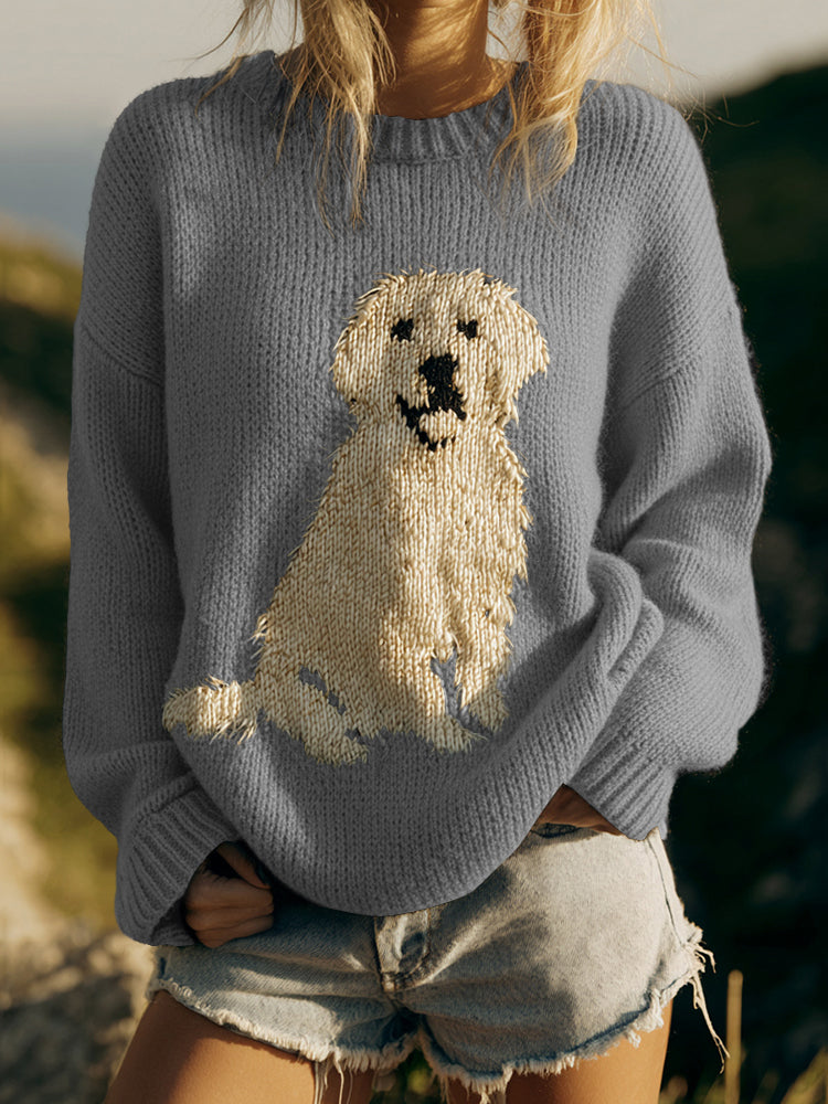 Pull au design gracieux