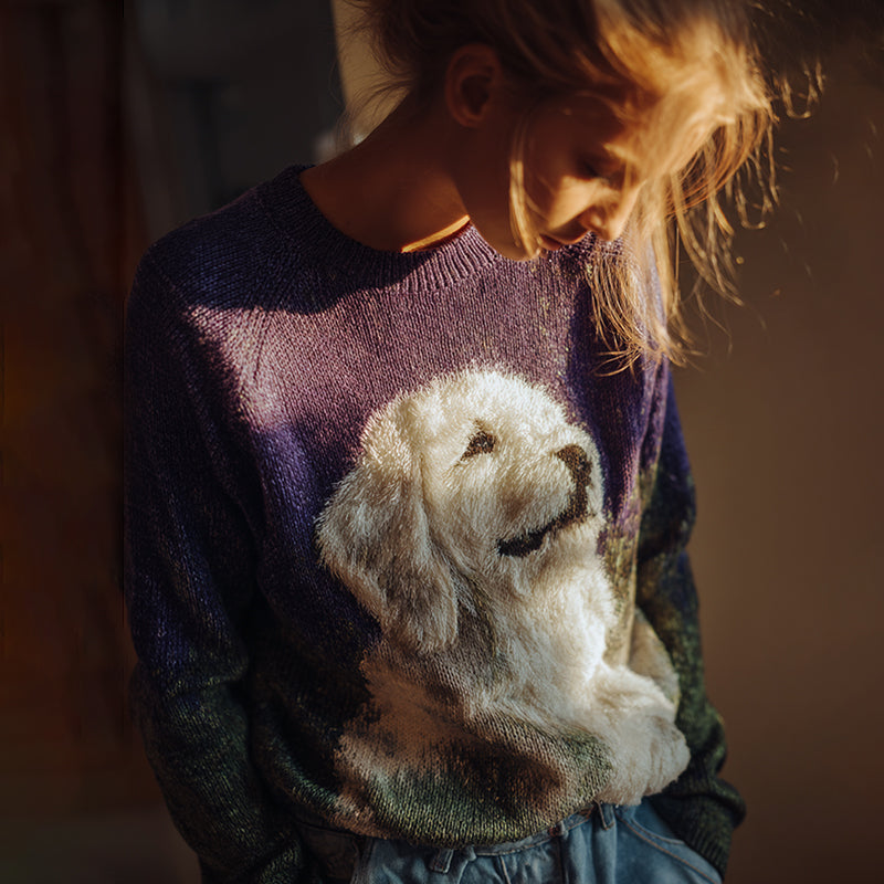 Pull au design réfléchi