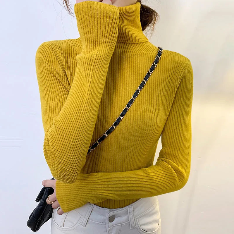 Pull au design gracieux