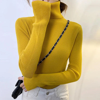 Pull au design gracieux
