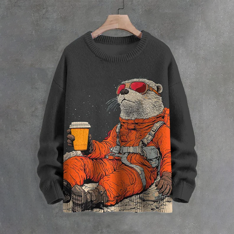 Pull au design classique