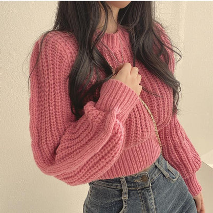 Pull au design gracieux