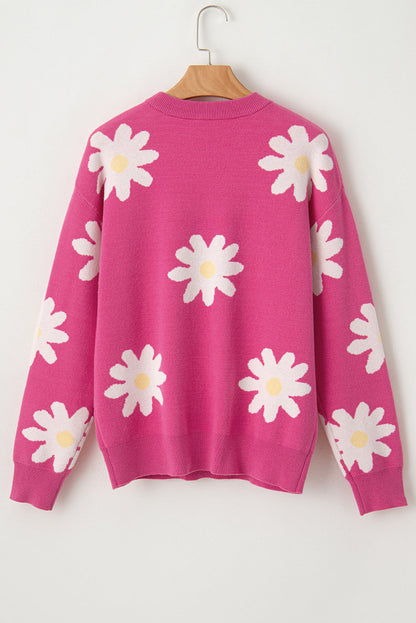 Pull au design gracieux