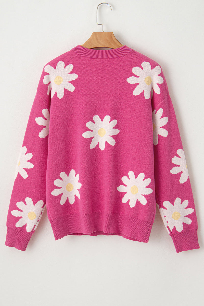 Pull au design gracieux