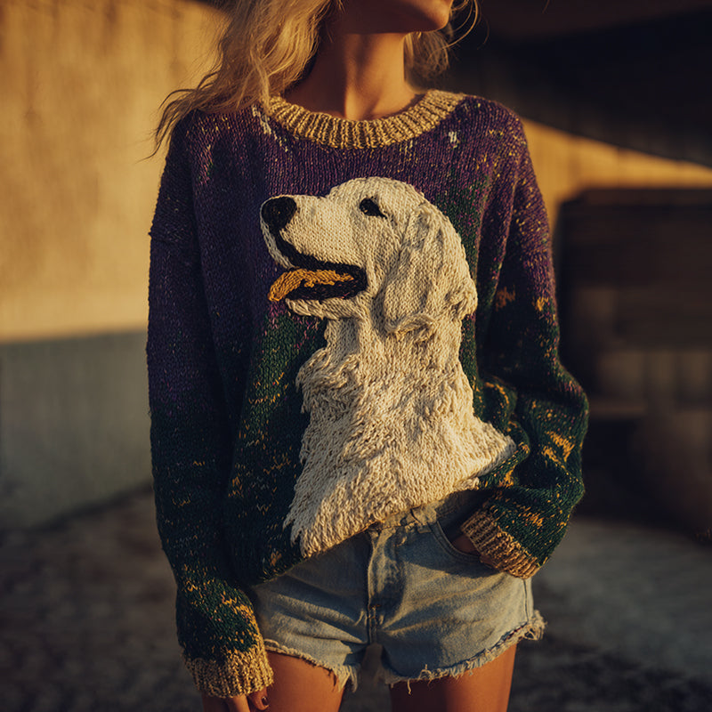 Pull au design gracieux