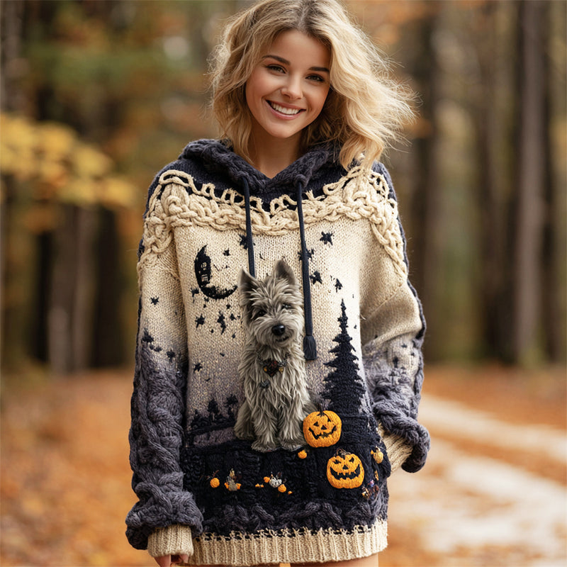Pull au design gracieux