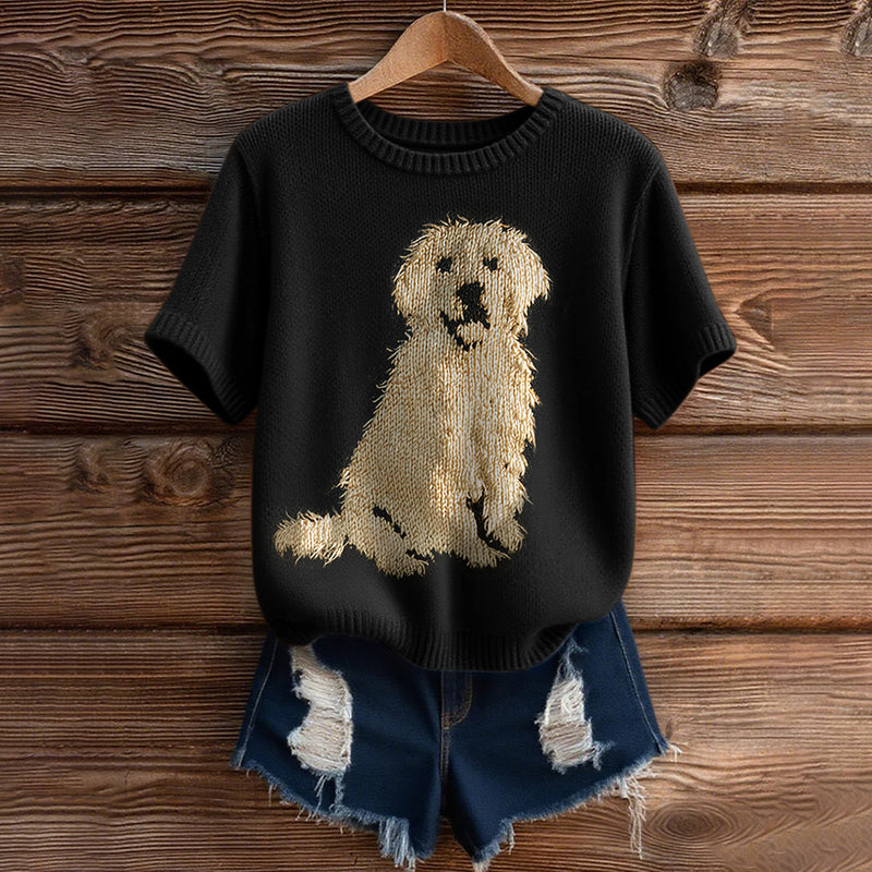 Pull au design classique