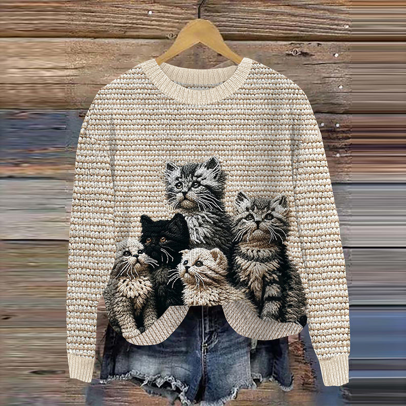 Pull au design classique
