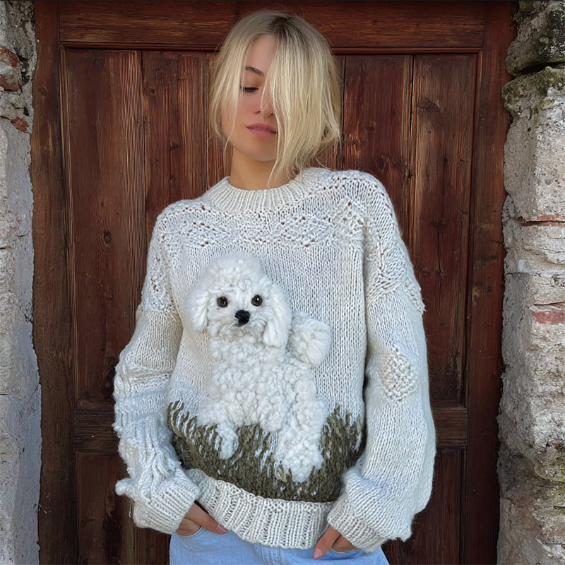 Pull au design classique
