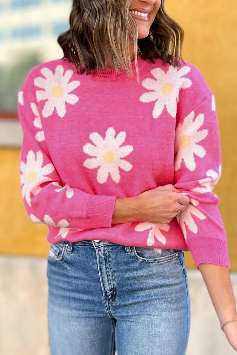 Pull au design gracieux