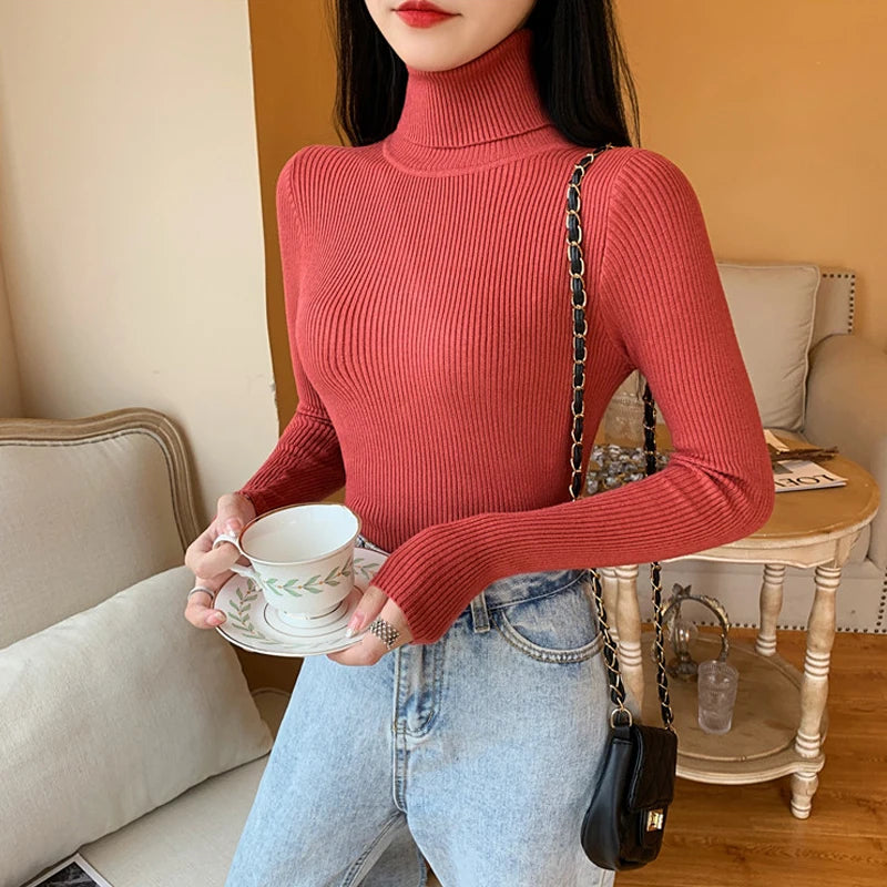 Raffiné et radieux Pull