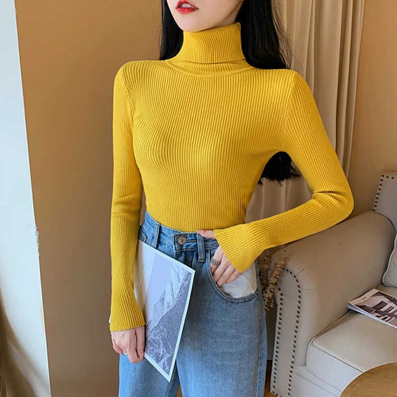 Raffiné et radieux Pull