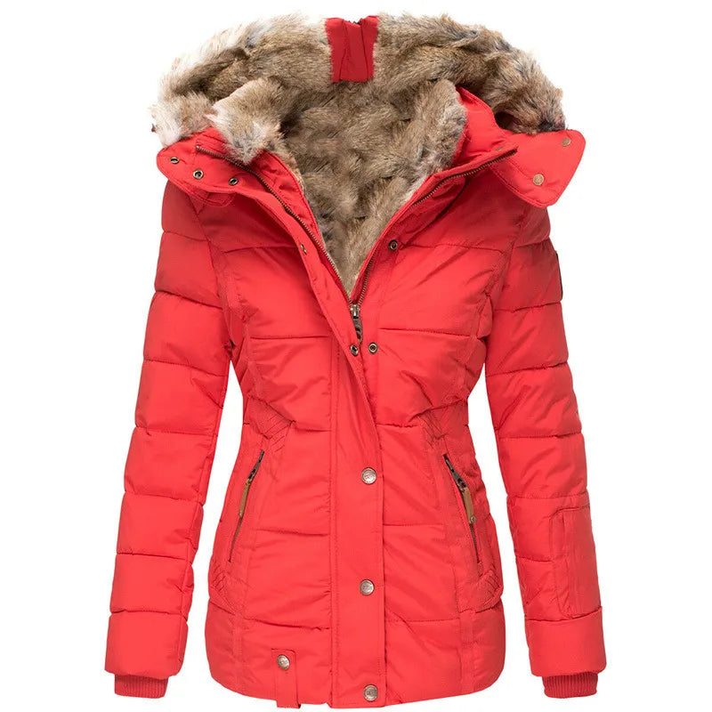 Veste au design classique