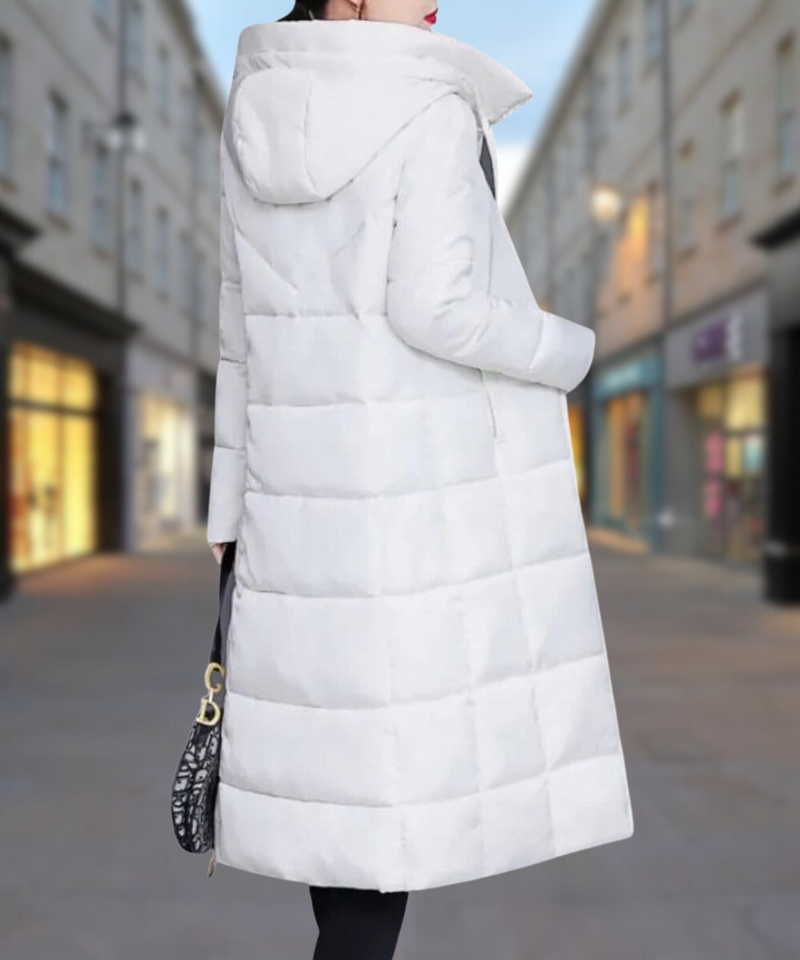 Veste magnifiquement confectionné