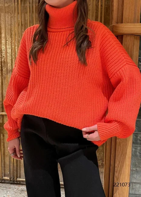 Pull au design gracieux