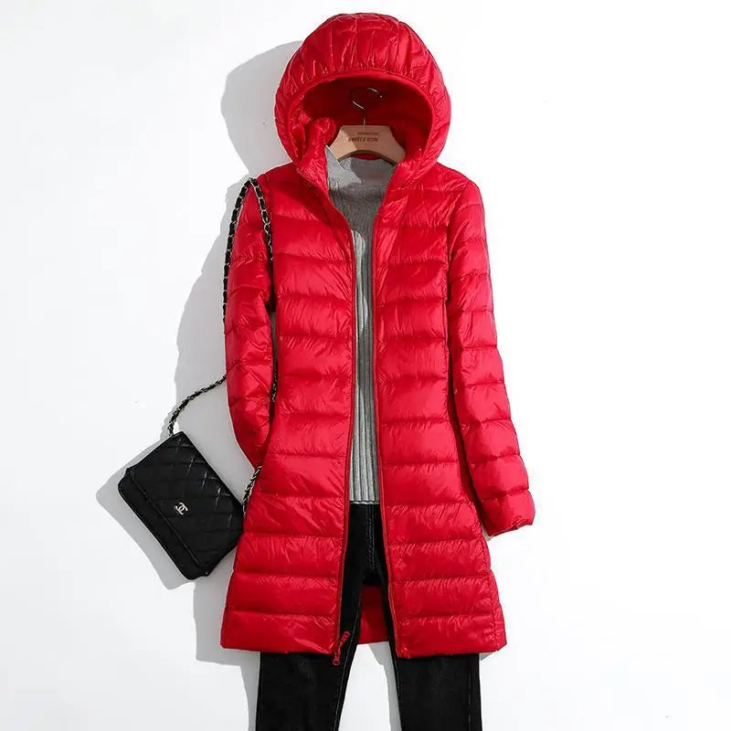 Tendance et intemporel Veste