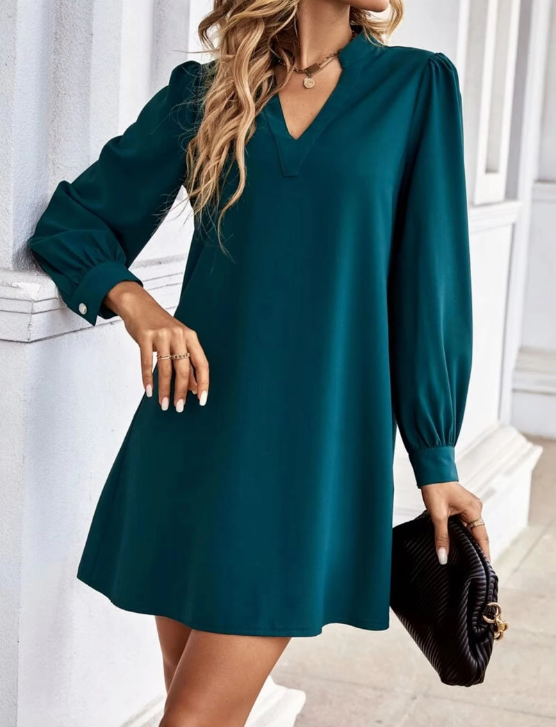 Élégant et stylé Robe