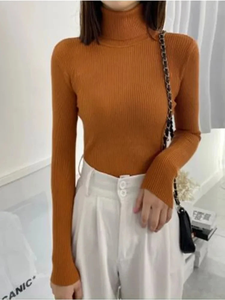 Raffiné et radieux Pull