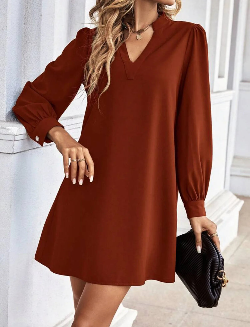 Élégant et stylé Robe