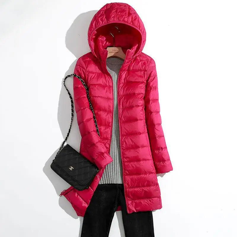 Tendance et intemporel Veste