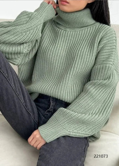 Pull au design gracieux