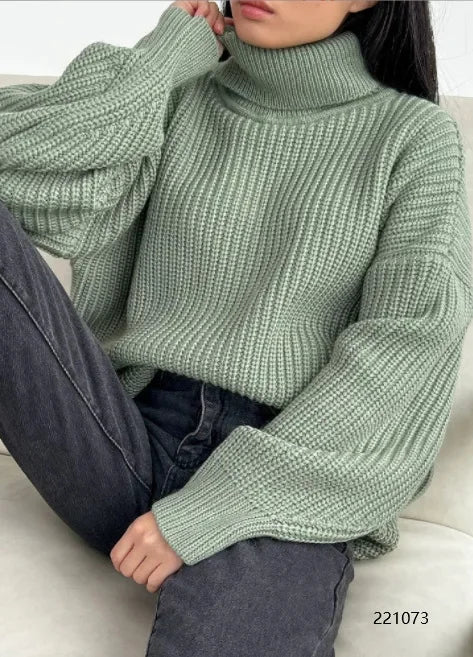 Pull au design gracieux