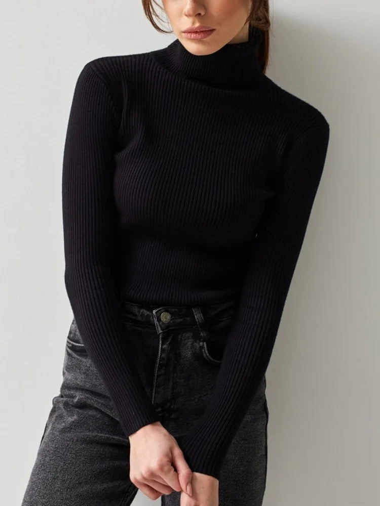 Raffiné et radieux Pull