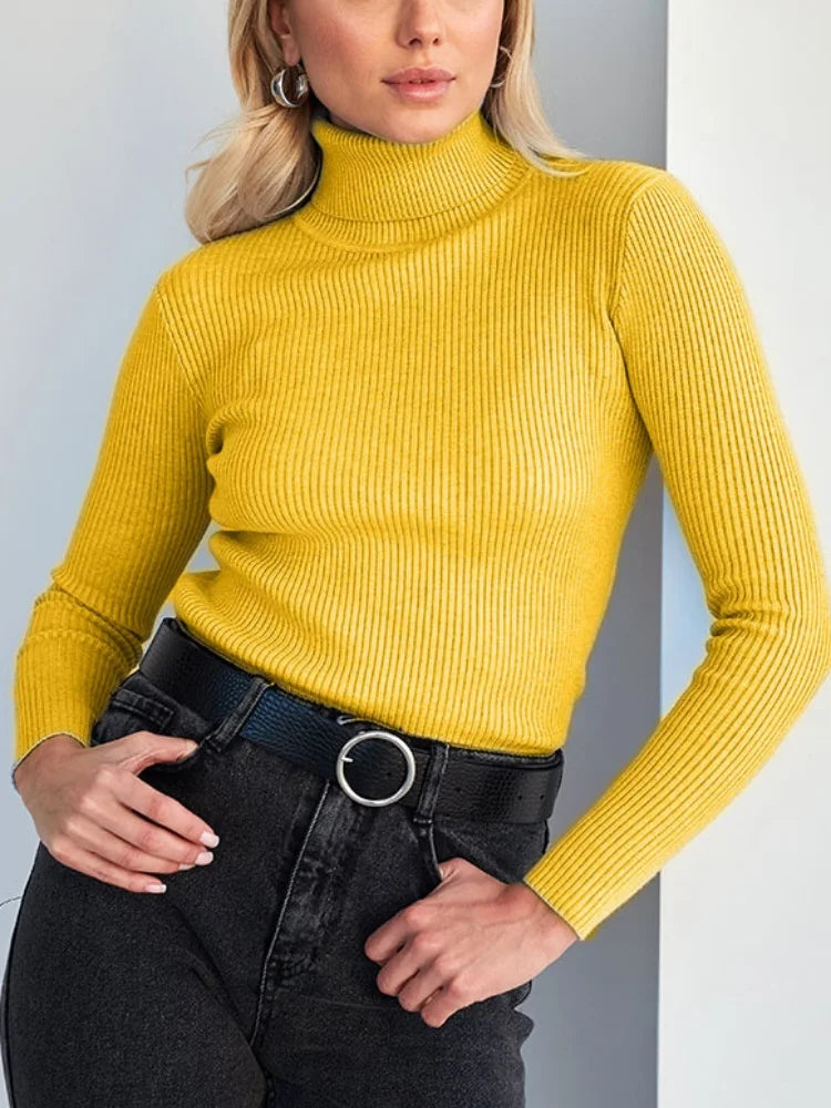 Raffiné et radieux Pull