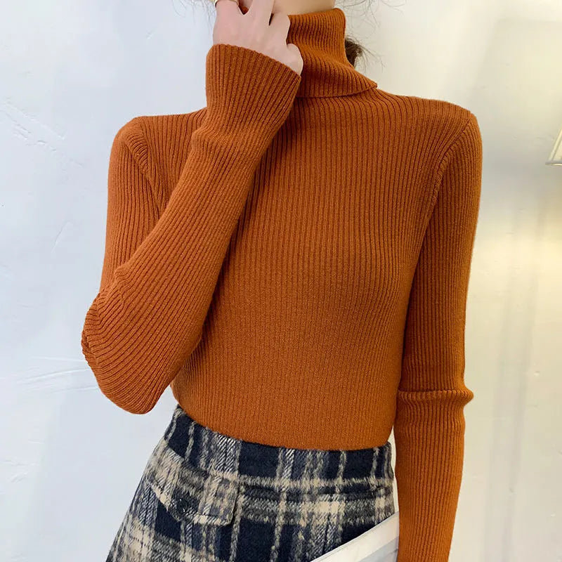 Pull au design gracieux