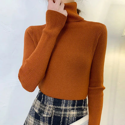 Pull au design gracieux