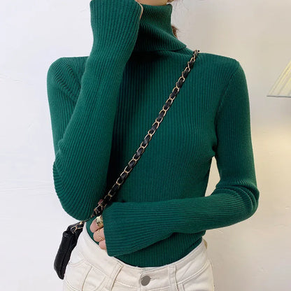 Pull au design gracieux