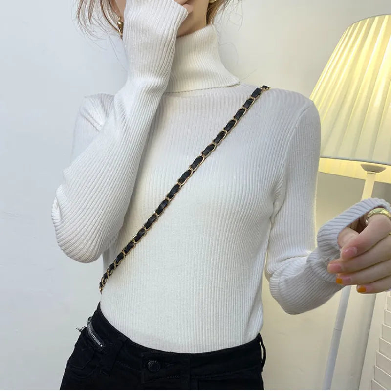 Pull au design gracieux