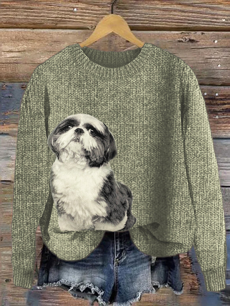 Pull au design gracieux