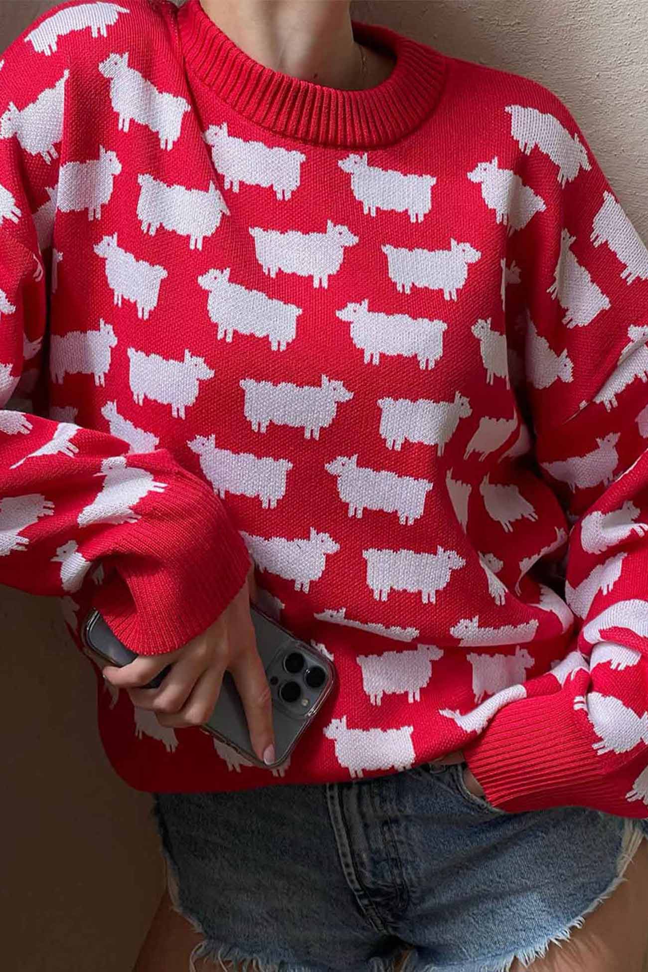 Pull au design élégant