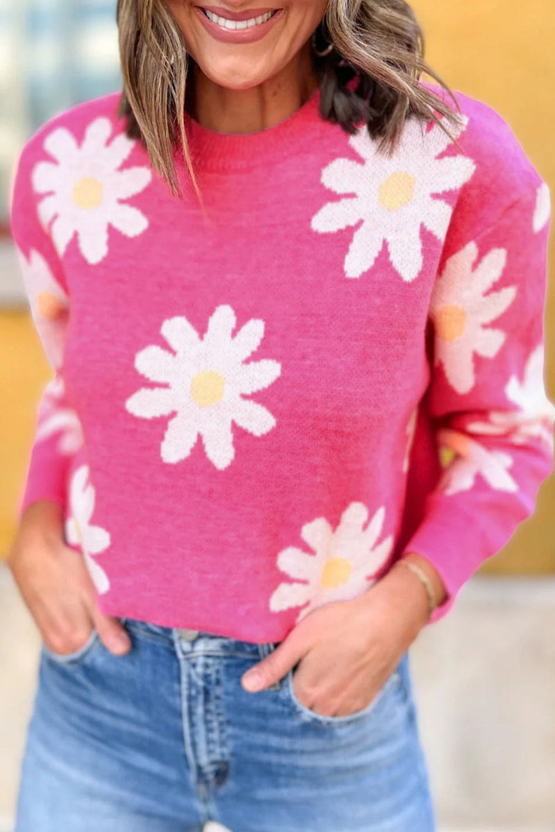 Pull au design gracieux
