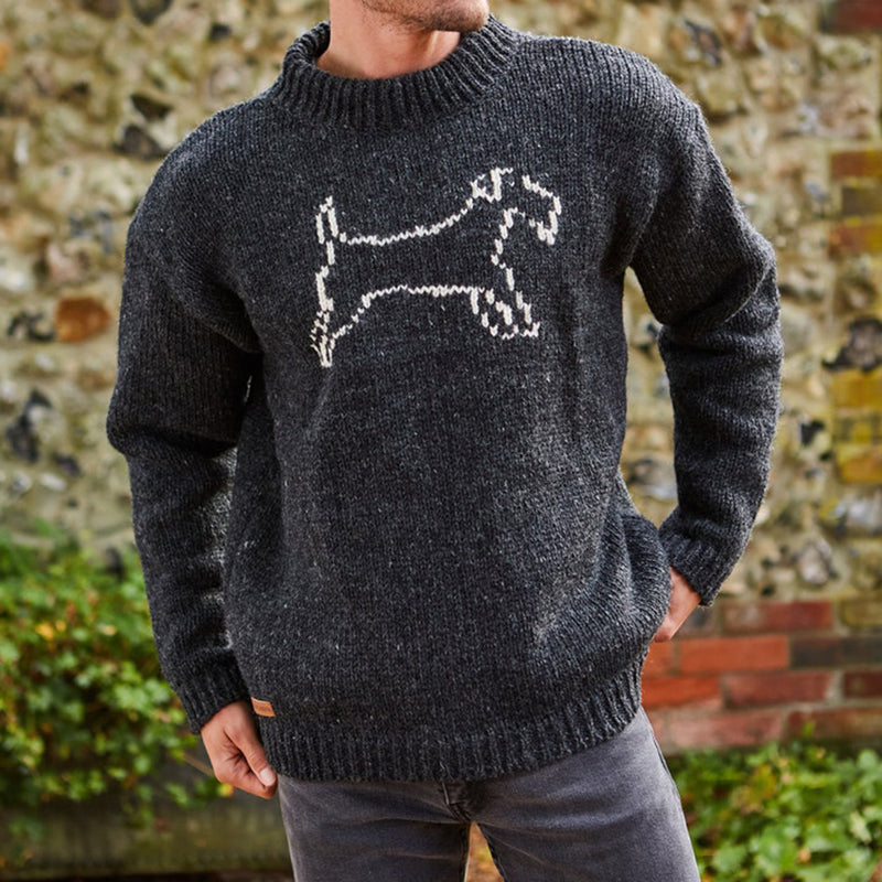 Pull au design classique