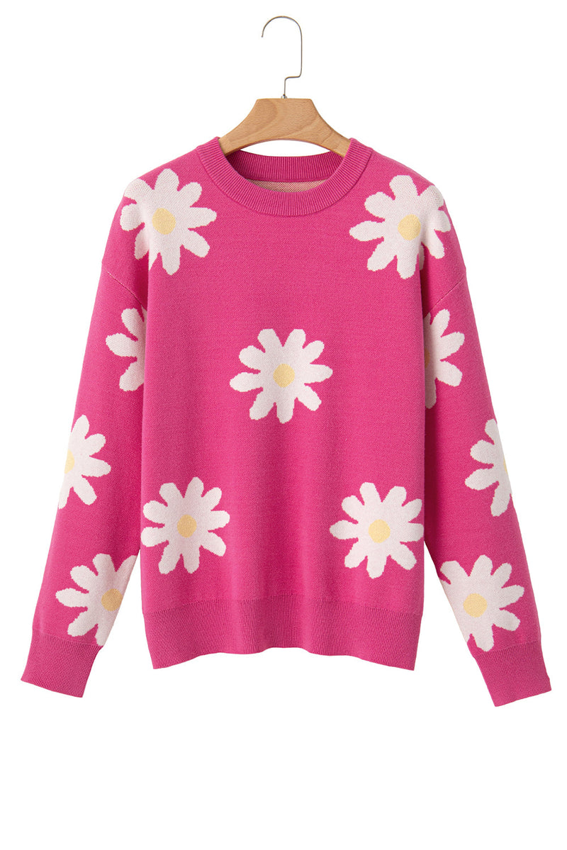 Pull au design gracieux