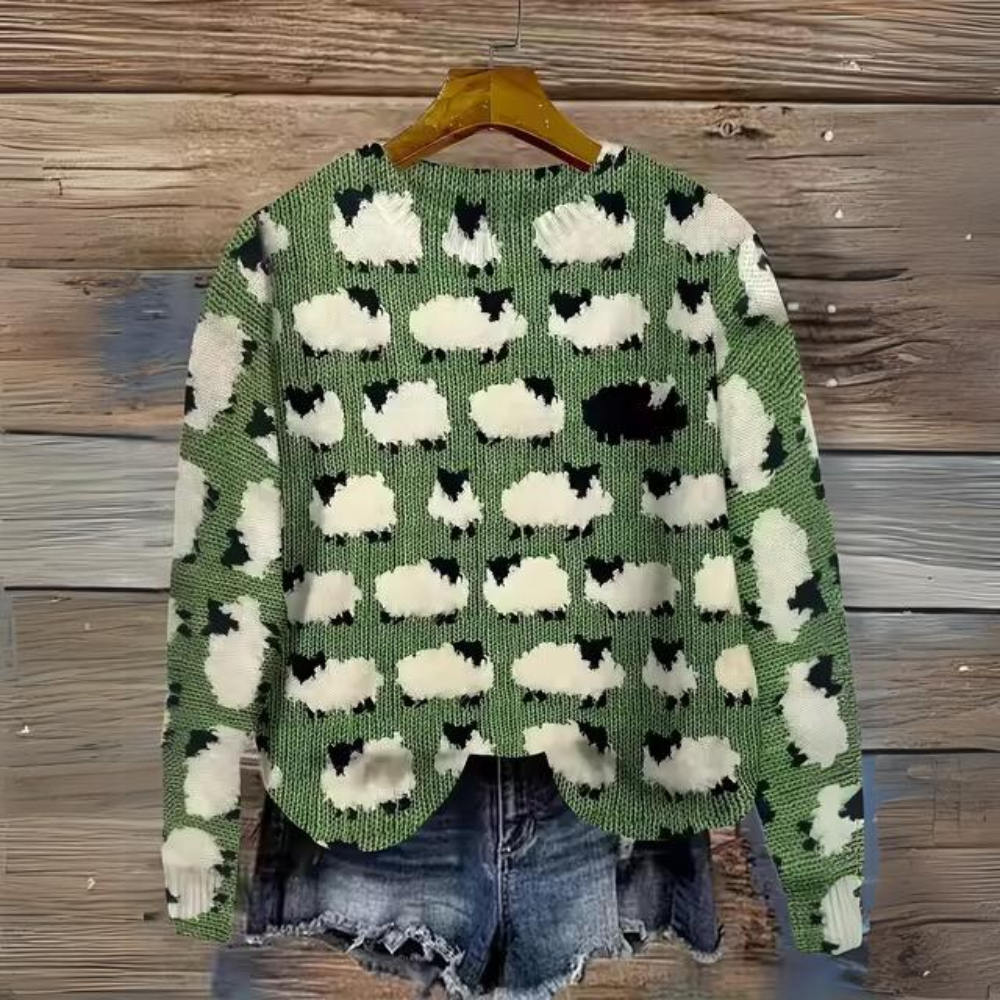 Pull au design gracieux