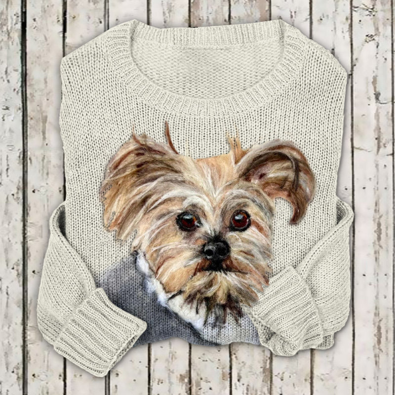 Pull au design classique