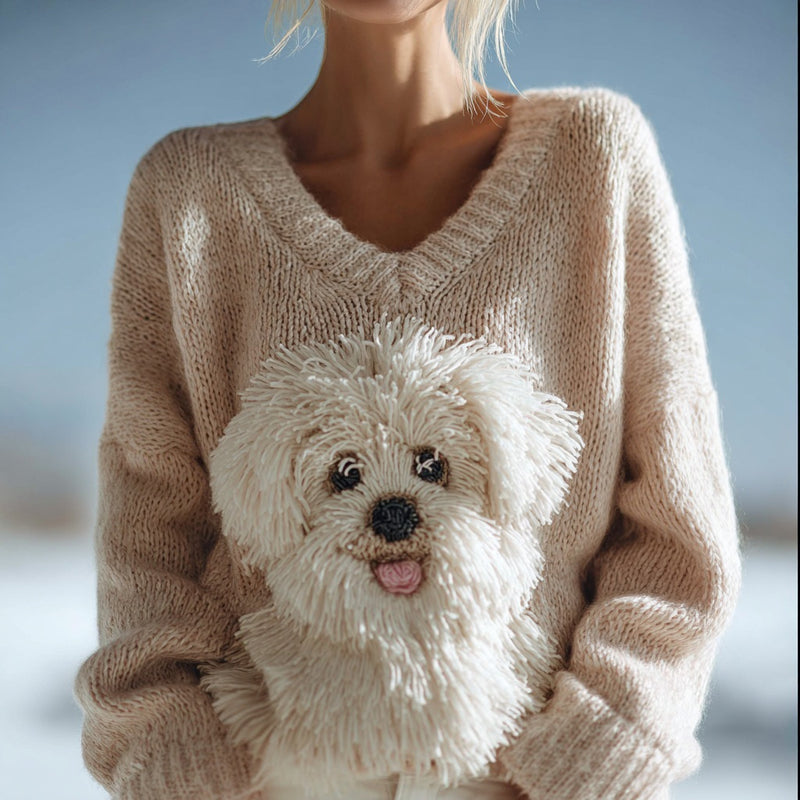 Pull au design classique