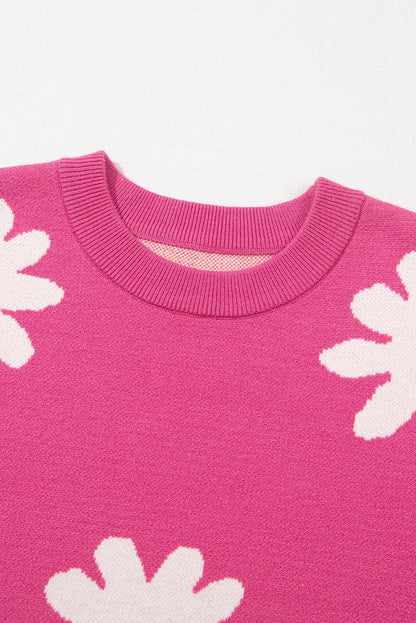 Pull au design gracieux