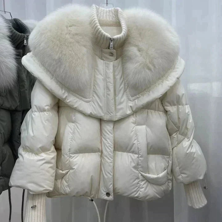 Veste magnifiquement confectionné