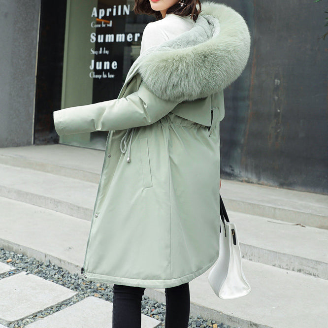 Veste magnifiquement confectionné